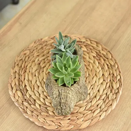 Σπίτι διακοπών Helios *